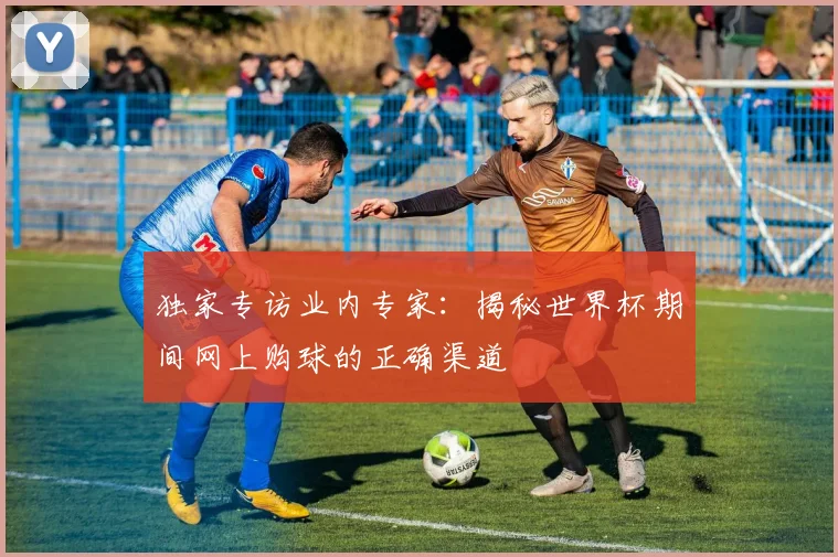独家专访业内专家:揭秘世界杯期间网上购球的正确渠道