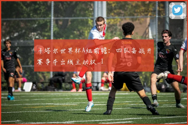 卡塔尔世界杯A组前瞻:四队备战开赛争夺出线主动权_1